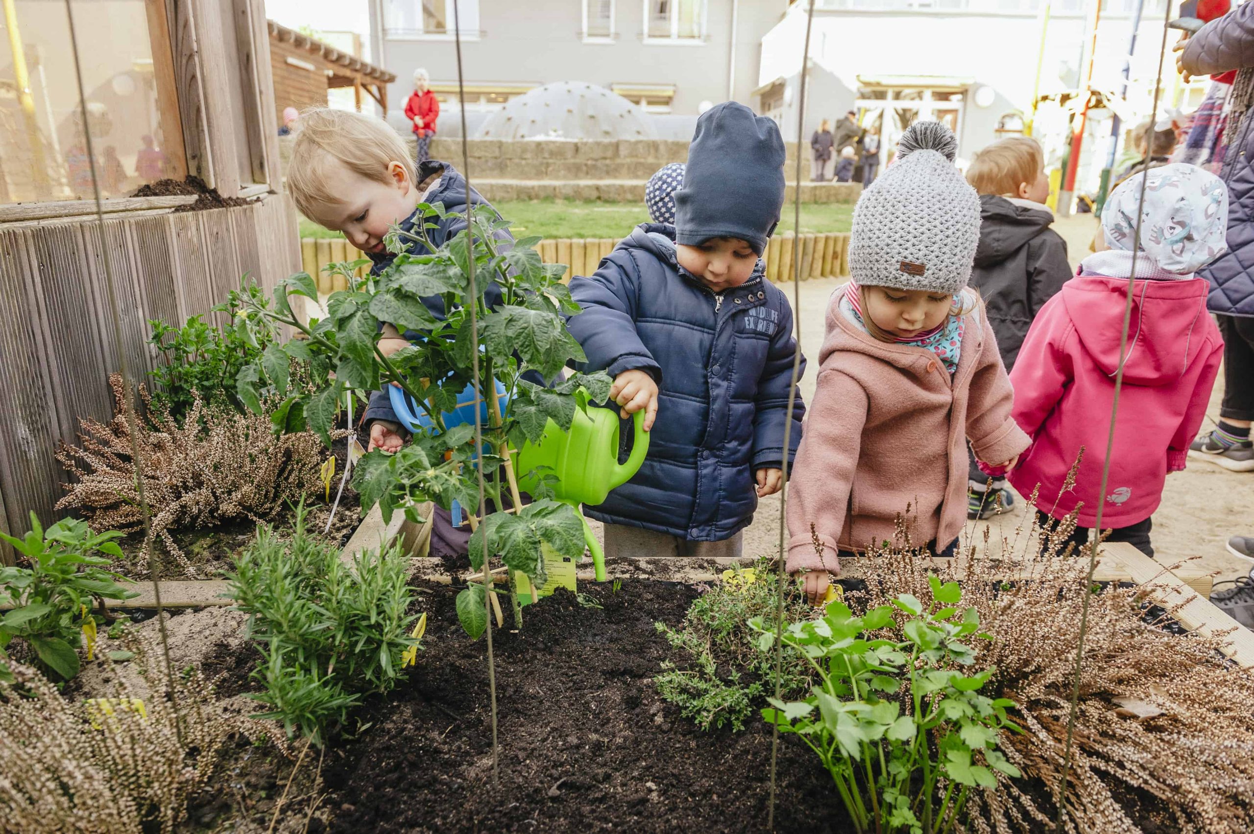 Kinder gießen Pflanzen