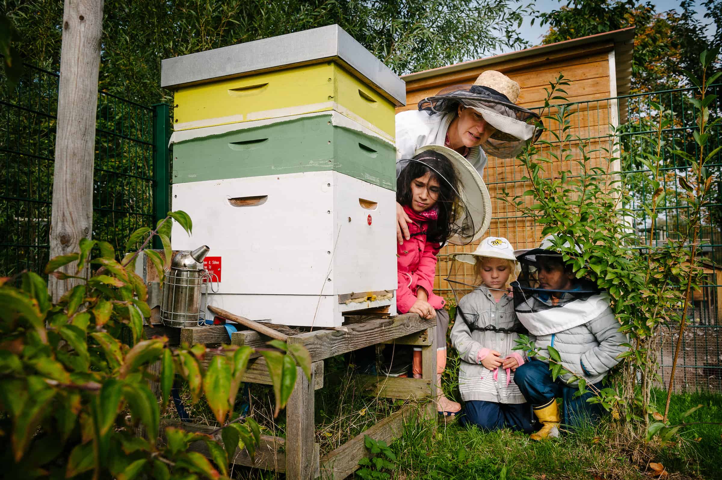Kinder mit Imkerin am Bienenstock