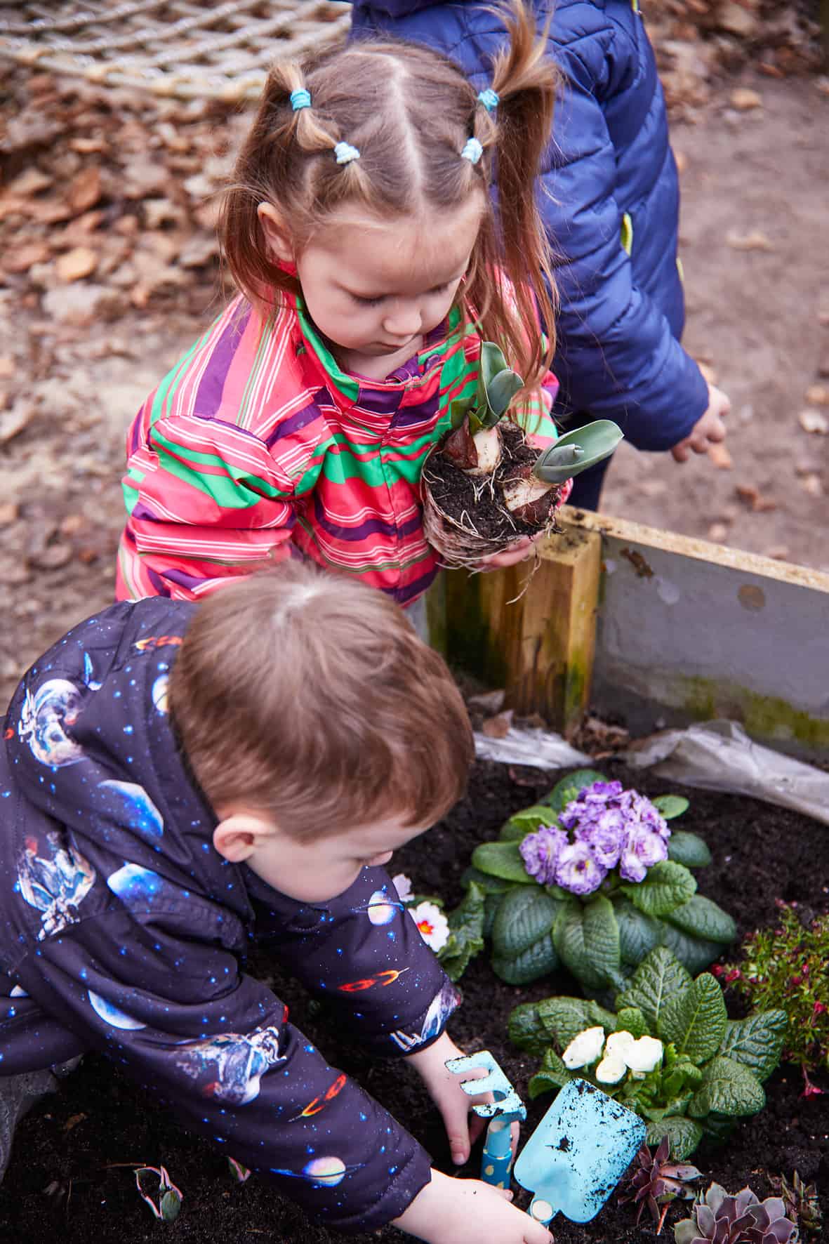 Kinder pflanzen Blumen ein