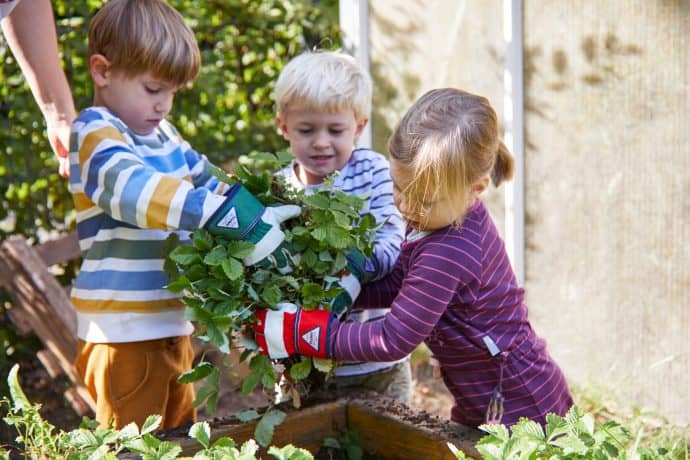 Children plant something in the raised bed