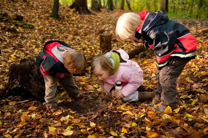Kinder erforschen den Waldboden