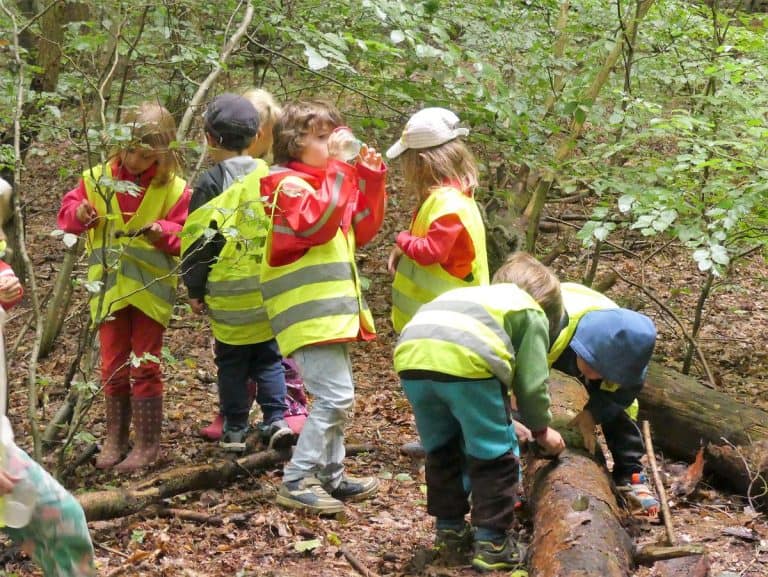 Kinder erkunden neugierig den Wald
